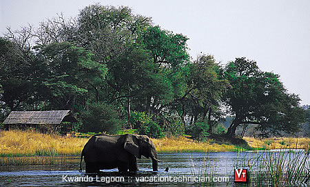 Kwando Lagoon.